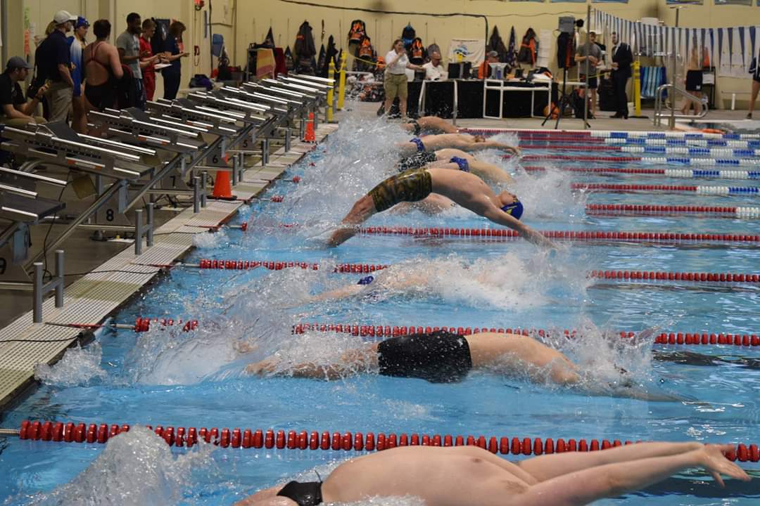 Laker Swimmers Compete at Midland