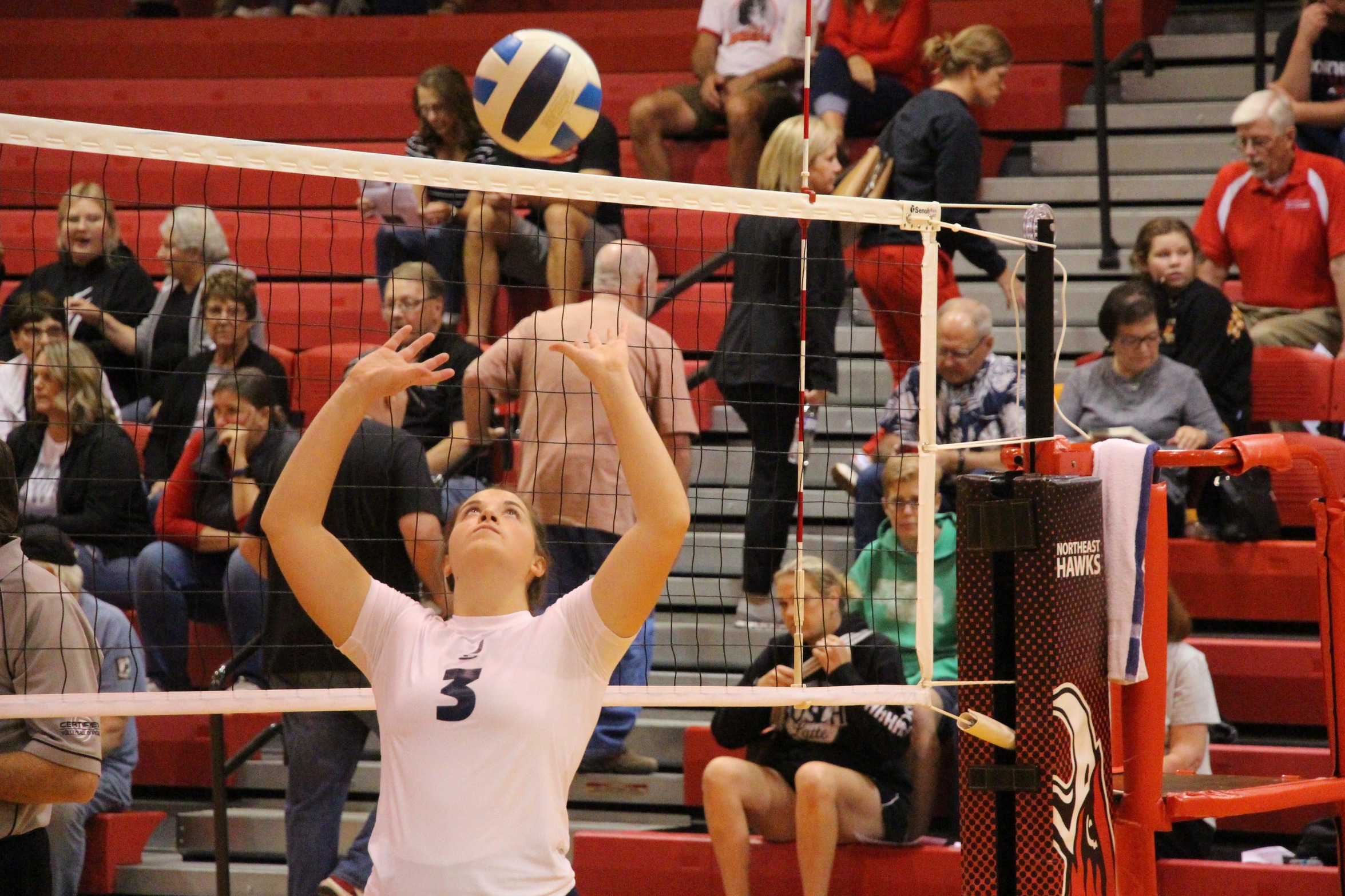 Lakers lose last match against WIT for Dig Pink Night