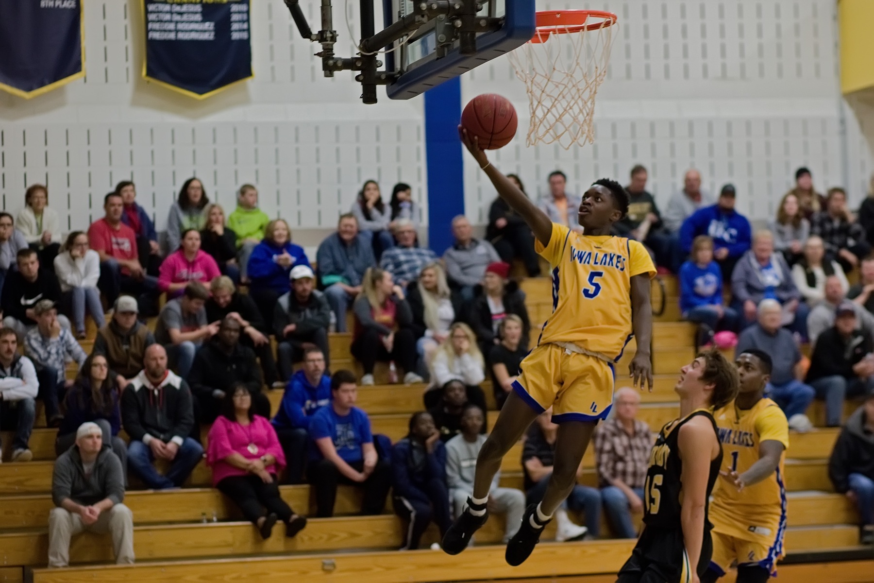 Lakers fall to NIACC