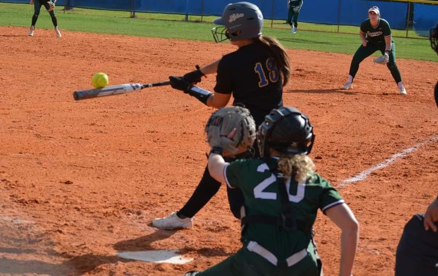 Laker Softball Splits with Panthers