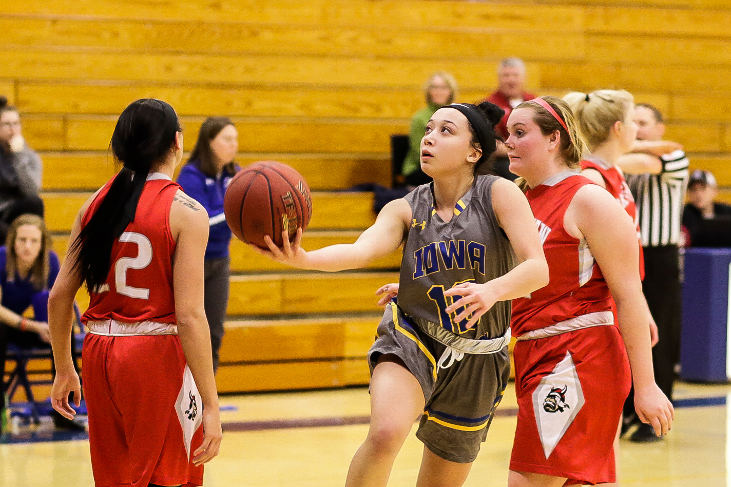 Lakers fall at NIACC