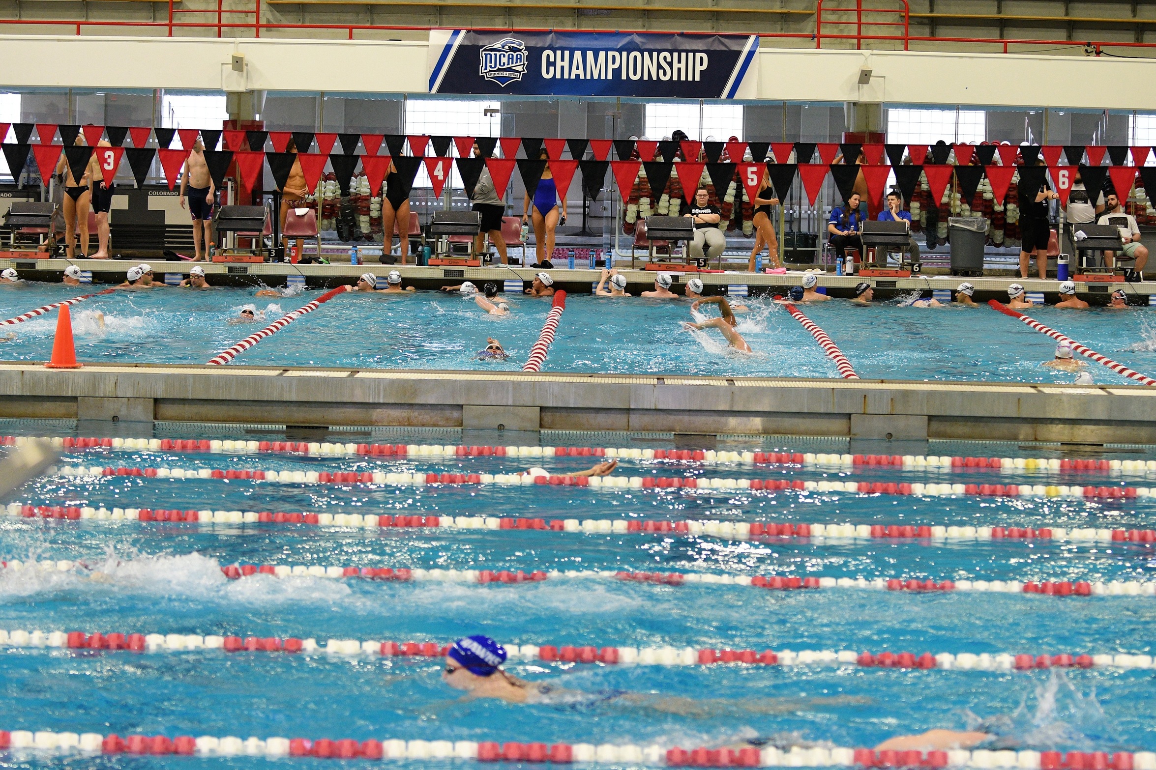 Lakers Earn Two Golds, One Silver, and Break 7 Records at 2023 NJCAA National Swim and Dive Championship