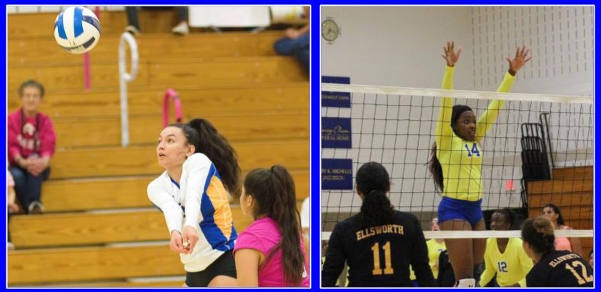 Laker Volleyball Lands Two on Post Season Teams
